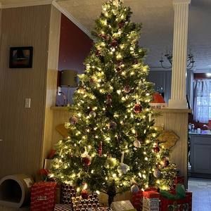 Meet your Posher, Marsha